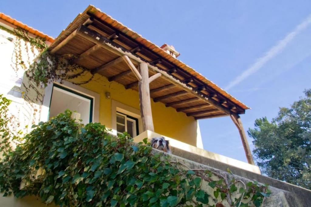 Casa Da Ruiva Villa Serra Exterior photo