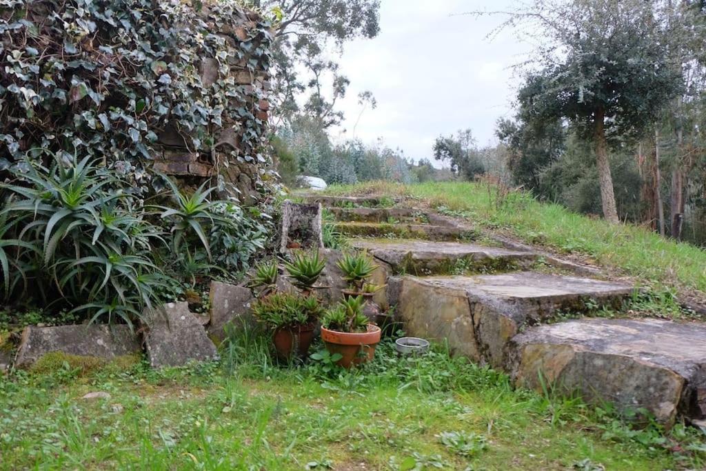 Casa Da Ruiva Villa Serra Exterior photo